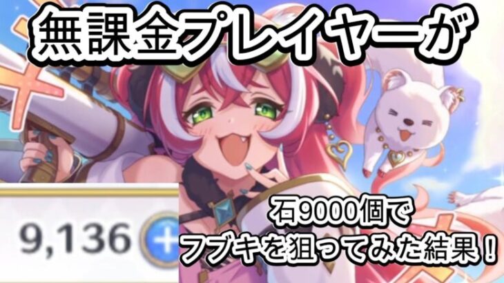 プリコネR無課金プレイヤーが石9000個でフブキを狙ってみた結果！