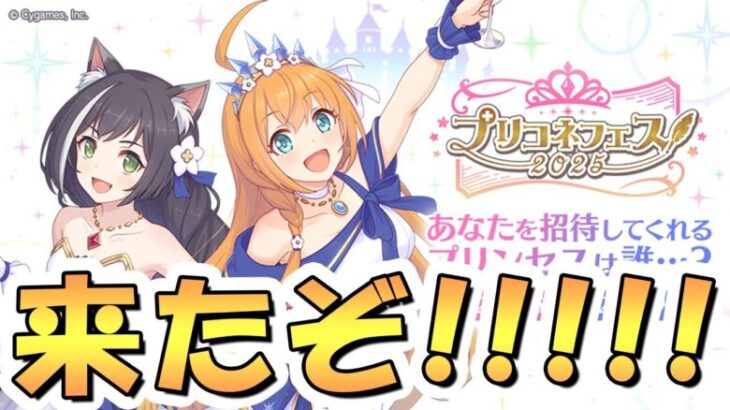 【プリコネR】まさかの完全新作アニメもあるらしい！？プリコネフェスの告知来たぞ！【プリコネ】