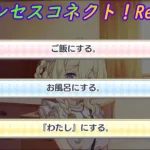 【プリコネR】これがやりたかった！ライラエルさんの大人のおままごと☆ [Princess Connect!Re:Dive]