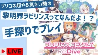 【プリコネR】ラビリンスβを手探りする回