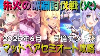【プリコネR】2025年6月深淵討伐戦火属性　マッドベア　セミオート2凸攻略【5億ダメージ】【朱火の深淵】【EXTREME】
