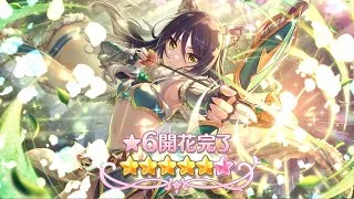 【プリコネR】☆6シオリ解放クエスト　Lv154フルオート攻略
