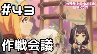 【実況】火の鳥退治の作戦会議【プリコネR｜メインストーリー 3部】#43