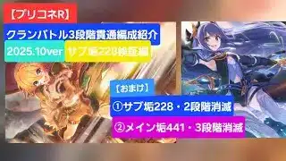 【プリコネR】3段階貫通編成紹介(2025年10月版)～サブ垢検証編(騎士ナイトRANK228の場合)～【ワイバーン】【タフガイスト】【バジリスク】【ウールヴへジン】【】