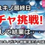 【プリコネ】ユキノ最終日でガチャ挑戦！果たして結果は・・・【プリンセスコネクト！】