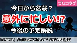 【プリコネ】今日から盆栽？意外に忙しい今後の予定解説【プリンセスコネクト！】