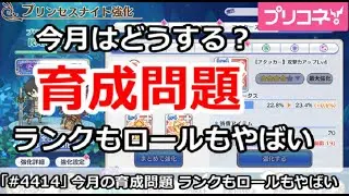 【プリコネ】今月は育成問題はどうする？ランクもロールもやばい！【プリンセスコネクト！】