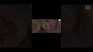 프리코네 메두사 픽업 완료 #가챠