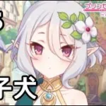 【実況】ランドソルにいた迷子犬【プリコネR｜絆ストーリー コッコロ編】#6
